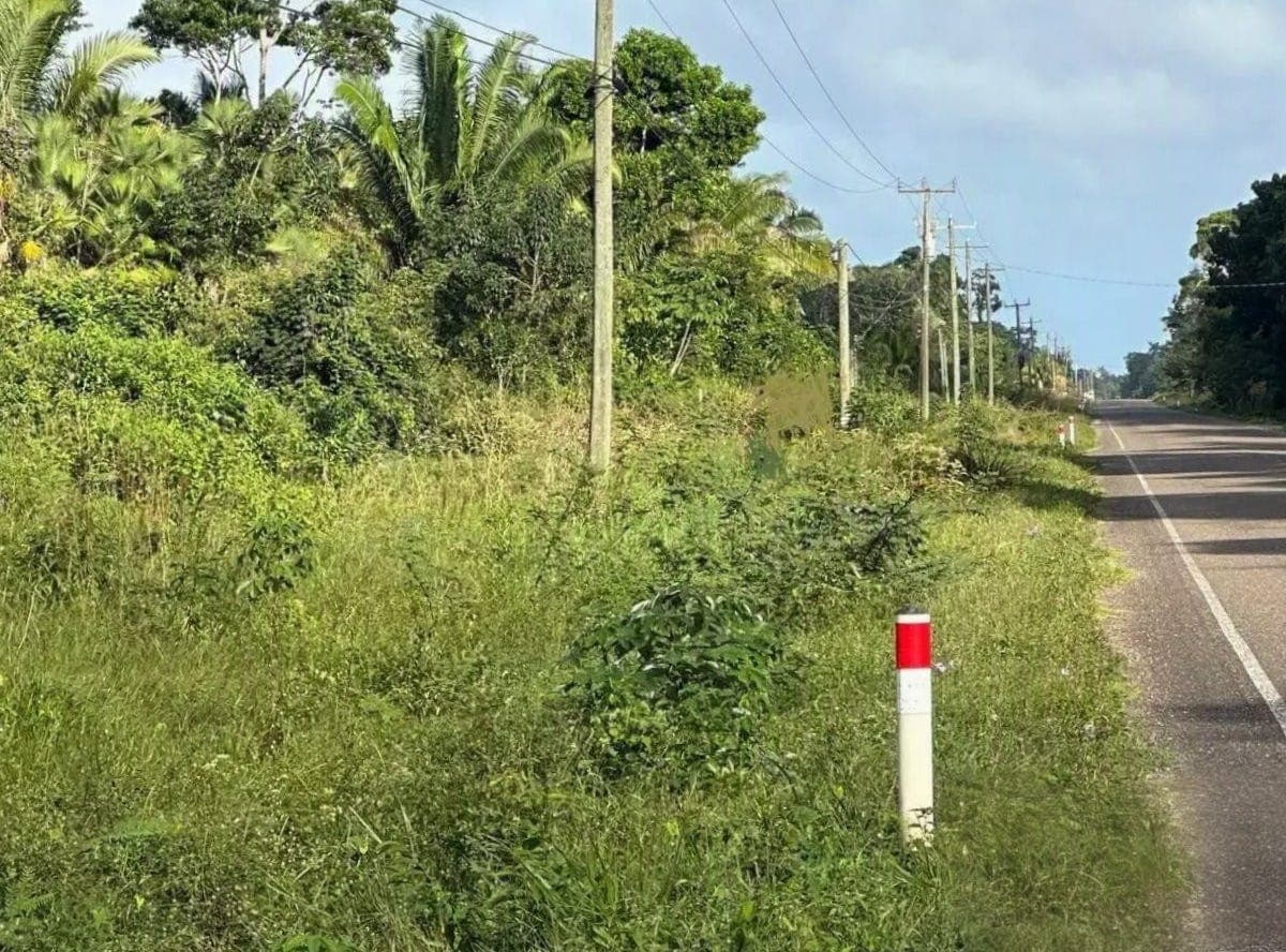 Lot 12 and 13 The Oaks, Hopkins Rd, Hopkins, Stann Creek District Land/Development for Sale