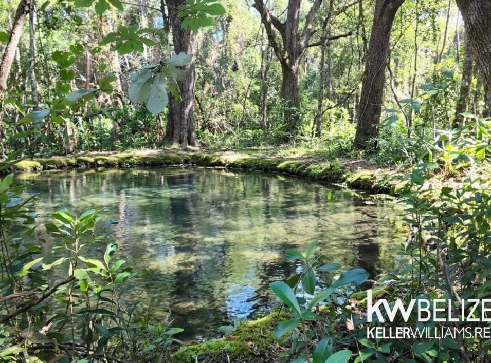 #11-Acre Eco Property Near San Ignacio #11-Acre Eco Property Near San Ignacio, San Jose Succotz, Cayo Distirct