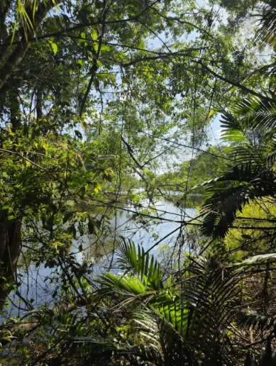 Riverfront Opportunity in Rancho Dolores-Spanish Creek Estate, BELIZE