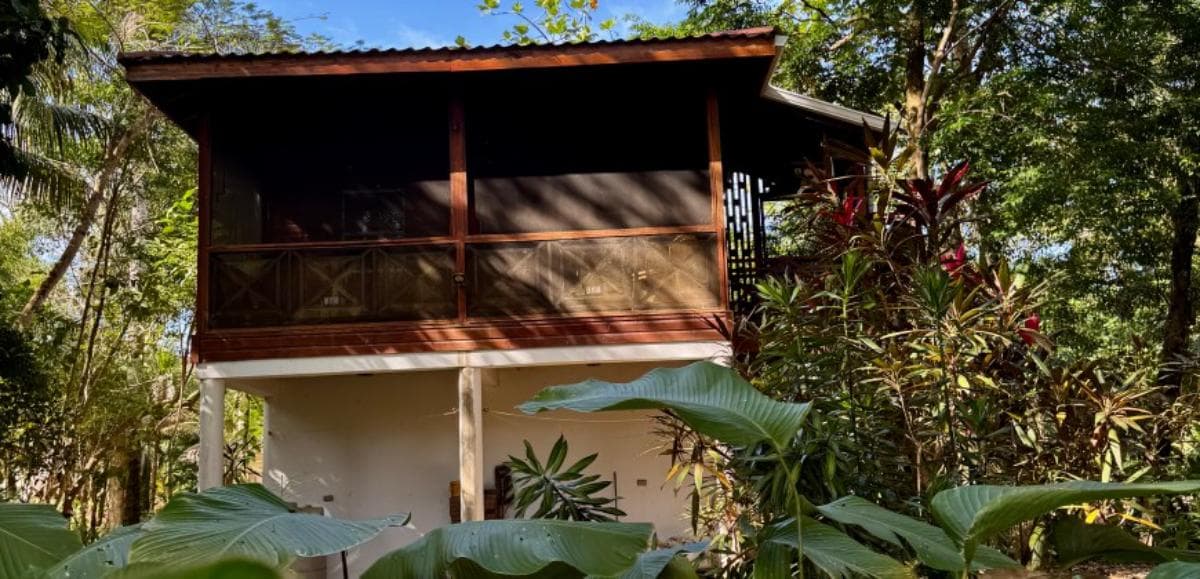 Stunning Sittee Riverfront Property