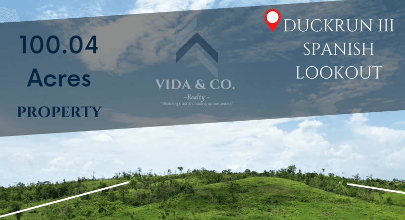 100.04 Acres in Duck Run III, Spanish Lookout Area
