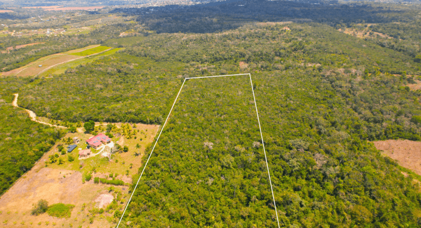 12 Acres Paslow Falls Area of the Cayo district