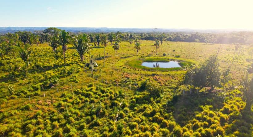 40 Acres Property Farmland