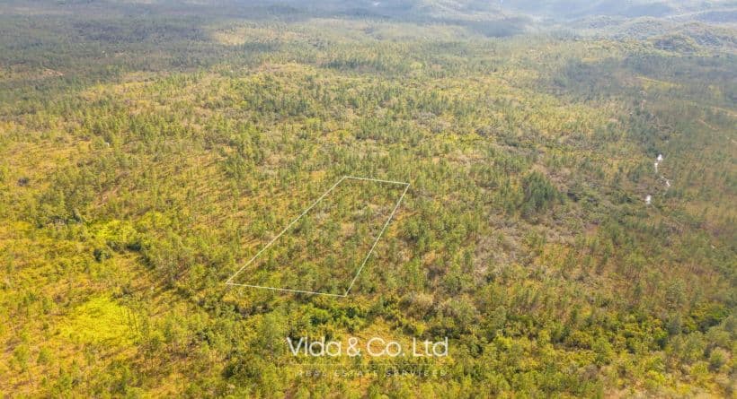 Mountain Pine Ridge Belize 4.48 Acre Creekfront Land for Sale