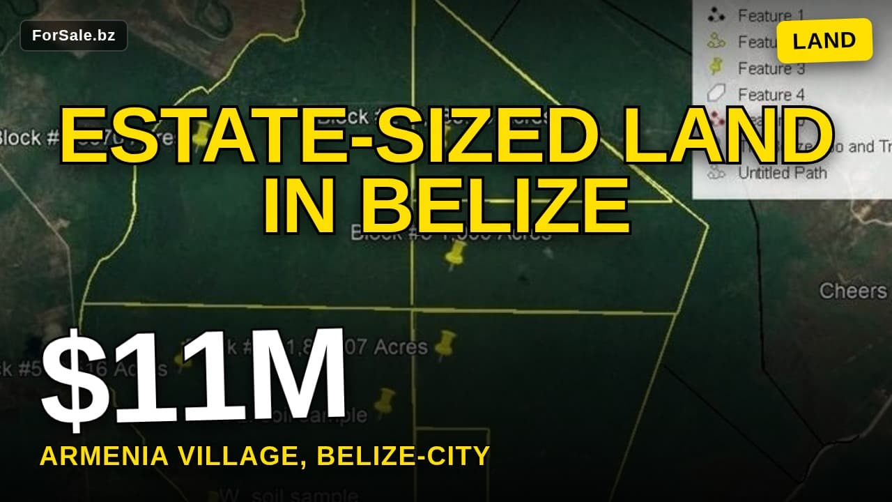Video tour of 2516 Acres - Beaver Dam - Belize, Armenia Village Cayo Dist, Belize City 99999 Rural for Sale