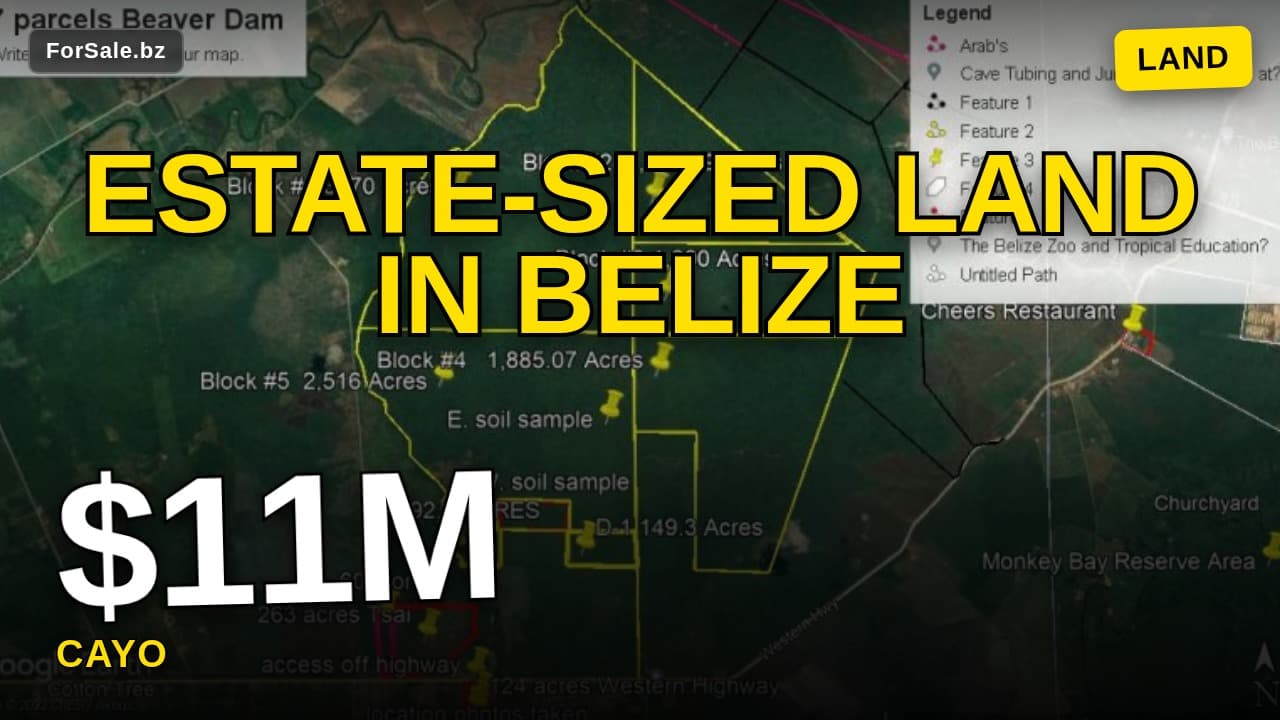 Video tour of PF0010– 9,207.85 Acres of Fertile Farmland for Sale in Belize – Only $1,200 USD per Acre!