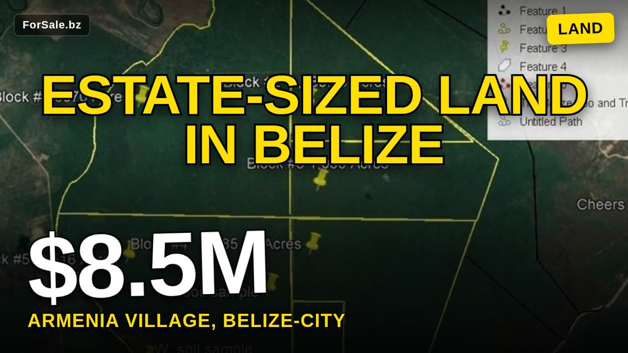 Video tour of 1883 Acres - Beaver Dam - Belize, Armenia Village Cayo Dist, Belize City 99999 Rural for Sale