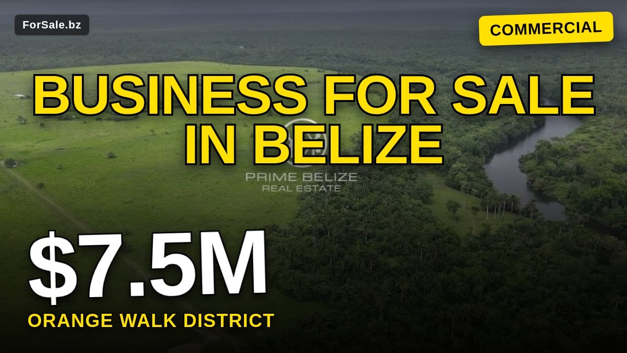 Video tour of Rancho Dolores, Rancho Dolores, Orange Walk District Commercial Farming for Sale
