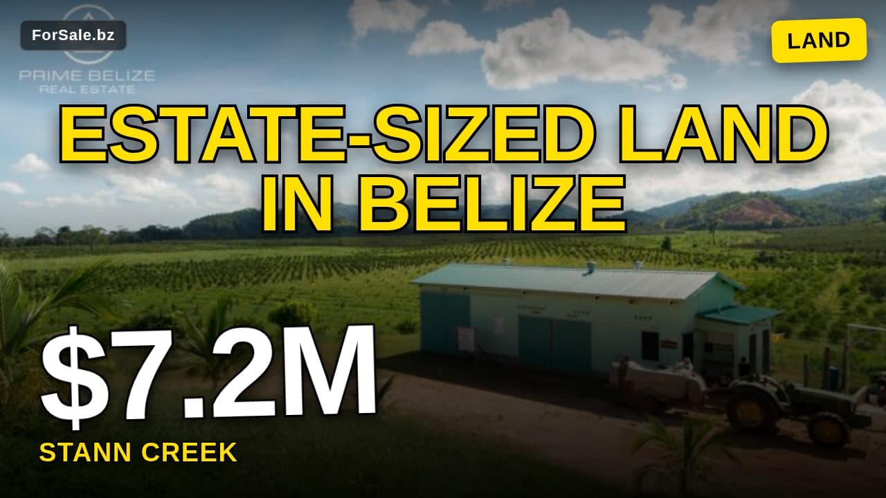 Video tour of PF0042 – 966 ACRES COCONUTS AND OTHER PRODUCING CROP – STANN CREEK BELIZE